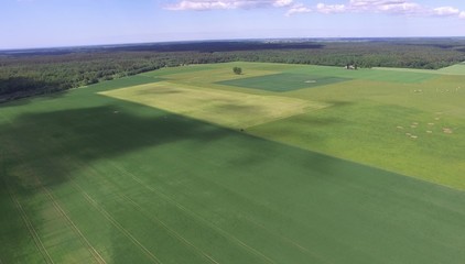fields from above