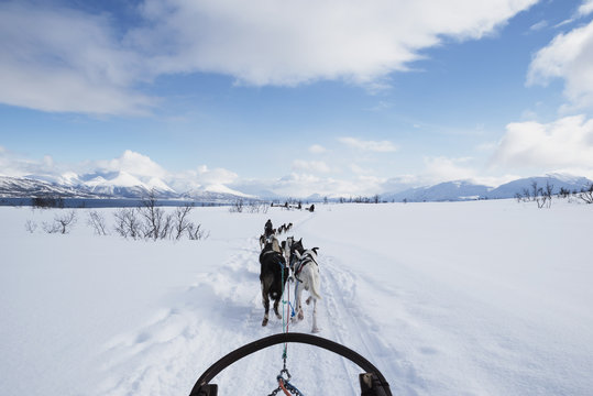 Traumhafte Hundeschlittenfahrt mit husky schlittenhunden in m&auml;rchenhafter winterwelt in Norwegen