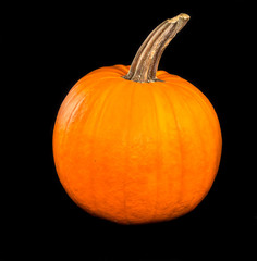 Big orange pumpkin and black background