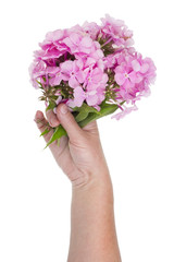 Woman holding a bouquet of summer pink flowers in her hand