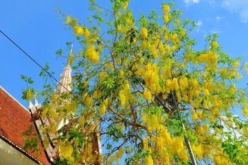 Cambodia, Phnom Penh