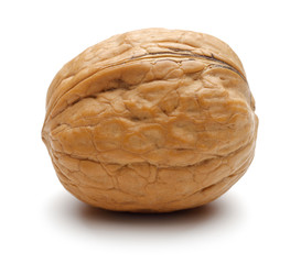 Walnut