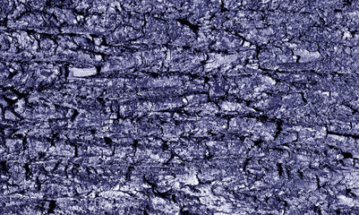 Tree bark texture in blue tone.