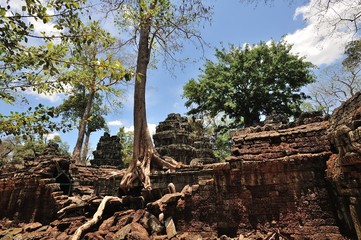 Fototapeta na wymiar Cambodia, Angkor