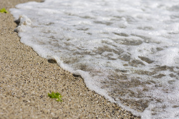 Calm wave of sea on the beach. Close up view. Selective focus. Copy, negative space. Natural texture background