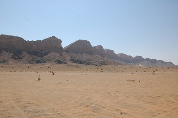 Fototapeta na wymiar Emirate4 Wüste
