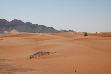 Fototapeta na wymiar Emirate3 Wüste