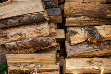 Stack of firewood for winter