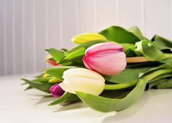 Obraz premium colorful tulips on a white table. spring scene