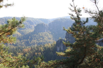 Natur Wald Fluss Sonne