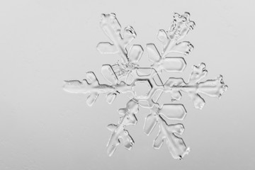 Snowflake macro photo