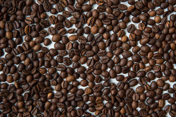 Coffee beans on a white background top view