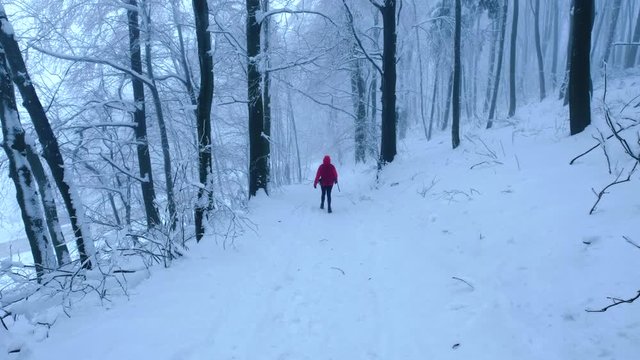 Hiking in winter. Young woman hiking on snow in white winter forest.