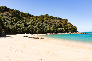 New Zealand Abel Tasman National park bay landscape with clear water on the beach