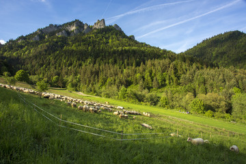 Trzy Korony - Pieniny  © BARONPHOTOGRAPHY.EU