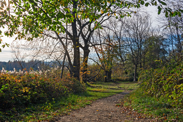 Obraz premium Path in the park on an autumn day.