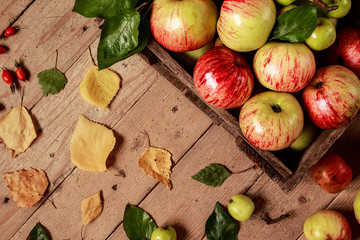     Composition with fresh apples on old table.
