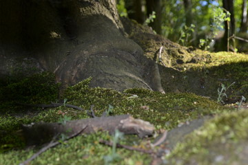 natural