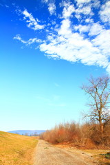 Obraz na płótnie Canvas Field road and clear blue sky with some clouds