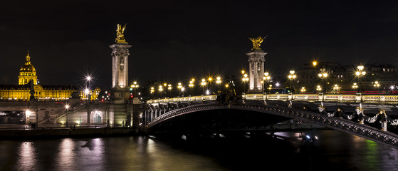 Fototapeta na wymiar Pont Alexandre 3