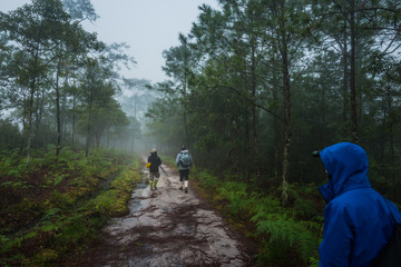 Obraz premium Photographer on misty forest path in the mountain