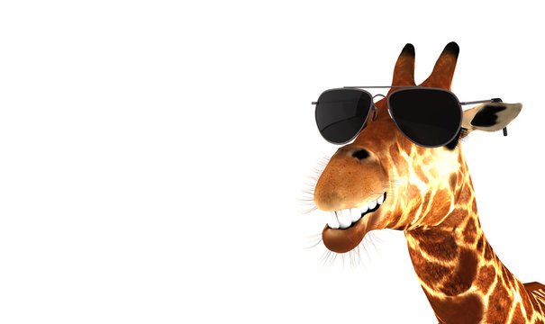 Lachende Giraffe mit Sonnenbrille
