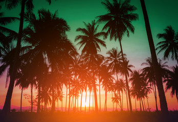 Silhouette coconut palm trees on beach at sunset. Vintage tone.