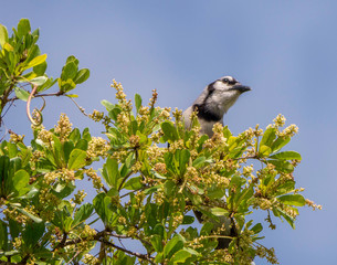 Nature Photography