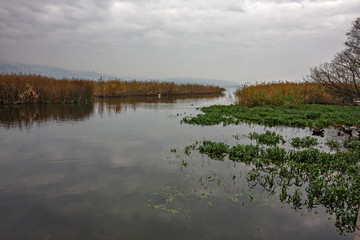 Panoramic view of the Varese lake
