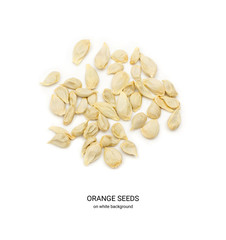 Orange and Mandarin Seeds