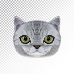 Fototapeta premium Vector illustration portrait of domestic cat.
