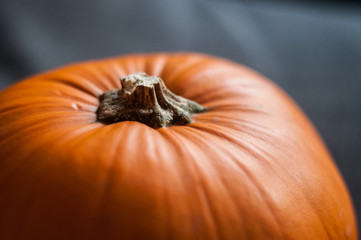 Autumnal Pumpkin