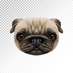 Vector Illustrated face of Pug Dog.