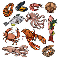 Vector illustration background, wallpaper, backdrop. Vintage hand drawn sketch. Collection of seafood