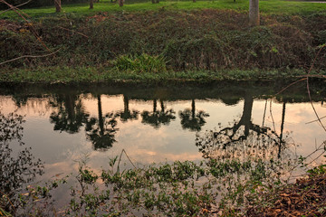 Trees that are reflected in the waters of the river at sunset.