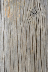 Obraz premium Old wood