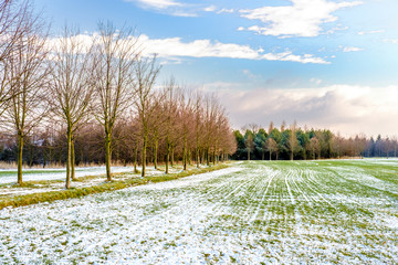Green field under white snow by trees near Prague