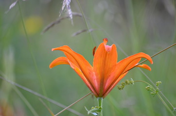 Bellezza in evidenza