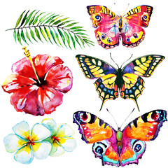 beautiful red flowers and butterflies, palm leaves, watercolor on a white