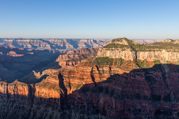 Grand Canyon North Rim Landscape