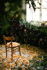 Wooden chair in a fairy environment covered with petals of flowers in front of a window