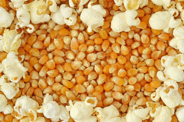 Dried corn kernels and popped popcorn frame