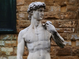 Fototapeta na wymiar Italia, Toscana, Firenze,piazza della Signoria,copia del David di Michelangelo.