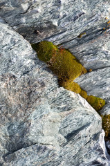 Ancient stone surface with moss and lichen