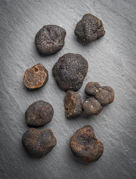 Black truffle mushrooms over rustic gray table