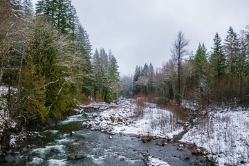 stream in winter snow with trees