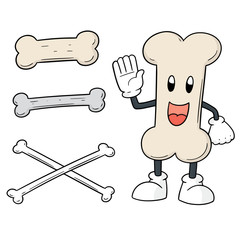 vector set of bone