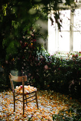 Wooden chair in a fairy environment covered with petals of flowers in front of a window