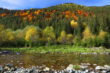 Fototapeta premium Alpine autumnal landscape in National Park Retezat, Romania, Europe