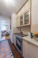 Little white kitchen in modern apartment interior